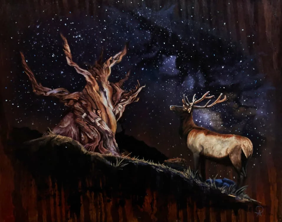Original oil painting by Agnes Stelmach titled Seeker and Ancient, depicting a bull elk standing on a rocky ridge beside an ancient gnarled tree under a dramatic night sky filled with stars and the Milky Way.